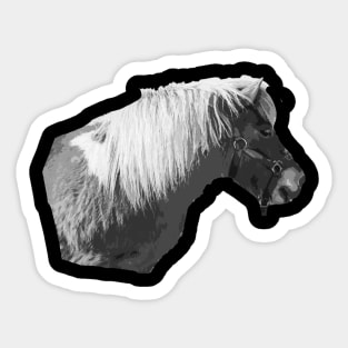 pony Sticker